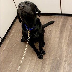 Meet your Posher, Malik